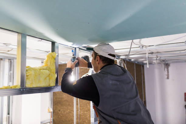 Best Soundproof Insulation Installation  in Peach Springs, AZ